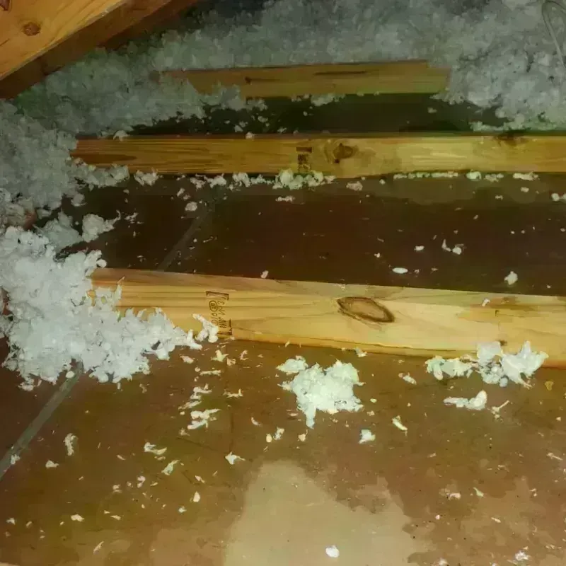 Attic Water Damage in Waynesboro, VA